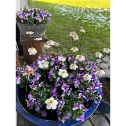 Kwiatuszki ceramiczne średnica 3-4 cm