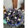 Kwiatuszki ceramiczne średnica 3-4 cm